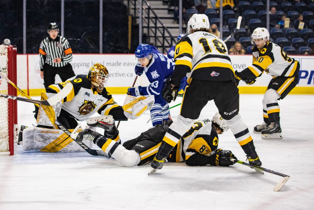 Hamilton Bulldogs strike first in series against Mississauga