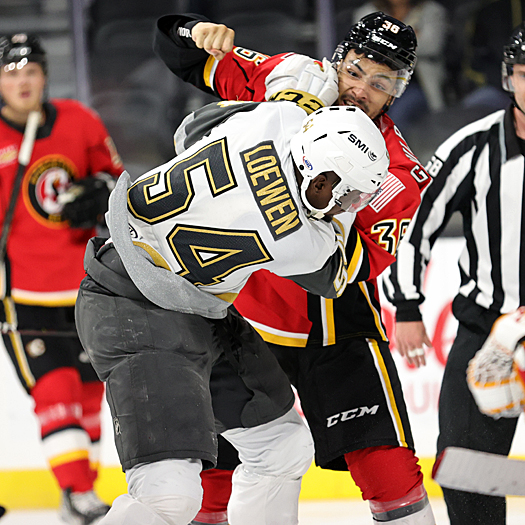 Tyrell Goulbourne (36) fights Jermaine Loewen (54) during second period action