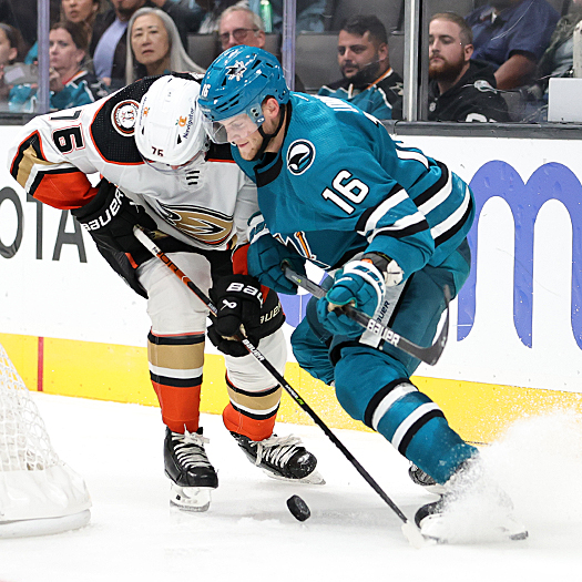 Josh Mahura (76) and Steven Lorentz (16) battle for the puck behind the net