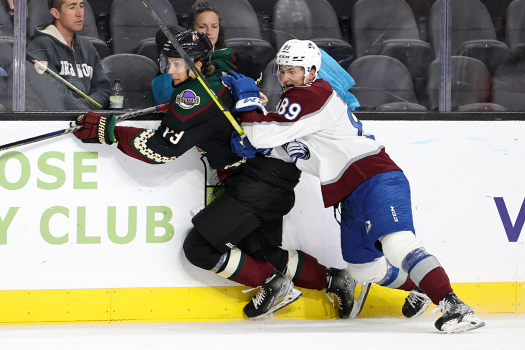 Julian Lutz (43) and Rylen Roersma (89) fight for position along the boards