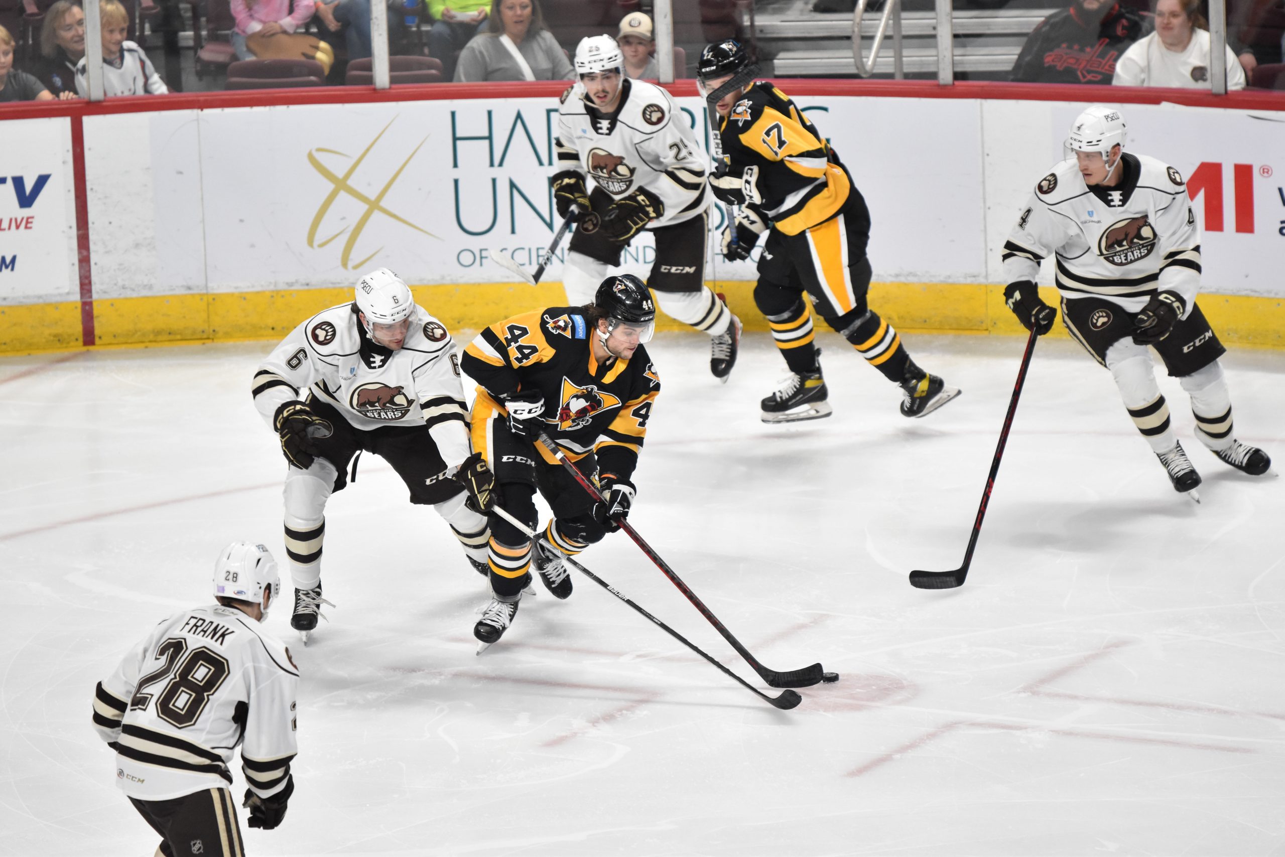 Bears Hold Off Penguins for 4-3 Win Pro Hockey News