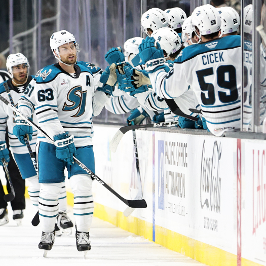 Jeffrey Viel (63) celebrates his second period goal