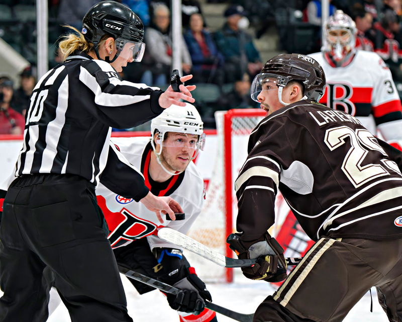 Hendrix Lapierre leads Hershey Bears in points, tied for team lead