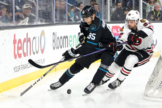 Barracuda defenseman Shakir Mukhamadullin (85) moves the puck away from Michal Teply (92)
