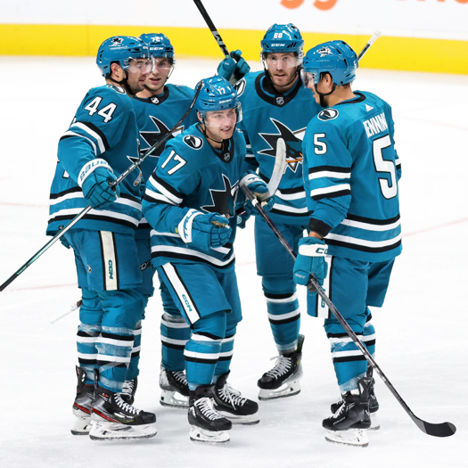 Thomas Bordeleau (17) celebrates his first NHL goal with teammates