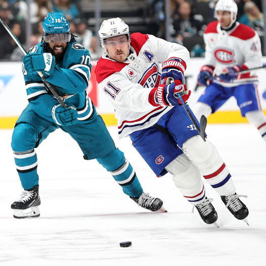 Canadians forward Brenden Gallagher (11) races Anthony Duclair (10) for the puck