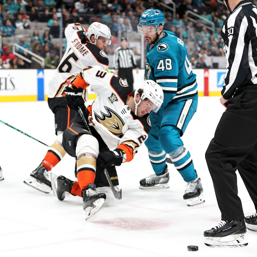 Ducks center Mason McTavish wins a face-off against Tomas Hertl (48)
