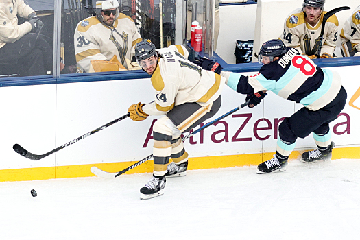 Golden Knight defenseman Nicolas Hague (14) looks to pass the puck as Brain Dumoulin (8) defends