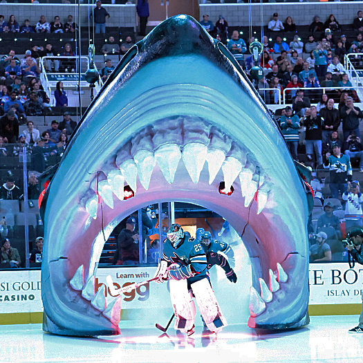 Sharks goalie Mackenzie Blackwood skates out of the Sharks head during pregame introductions