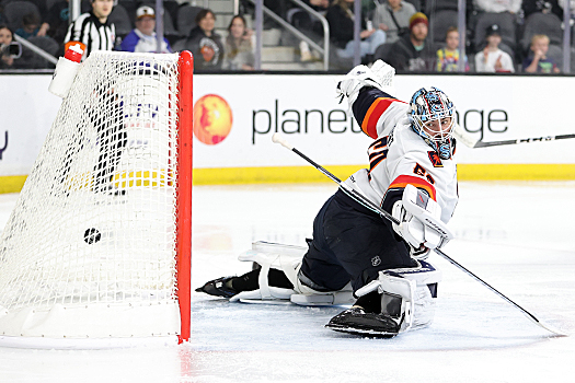 Firebirds goalie Chris Driedger looks behind him as Scott Sabourin's (not pictured) shot beats him to tie the score 2-2 early in the second period