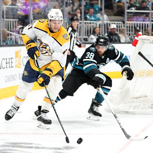 Sharks defenseman Mario Ferraro (38) attempts to check the puck off of Mark Jankowski's (17) stick