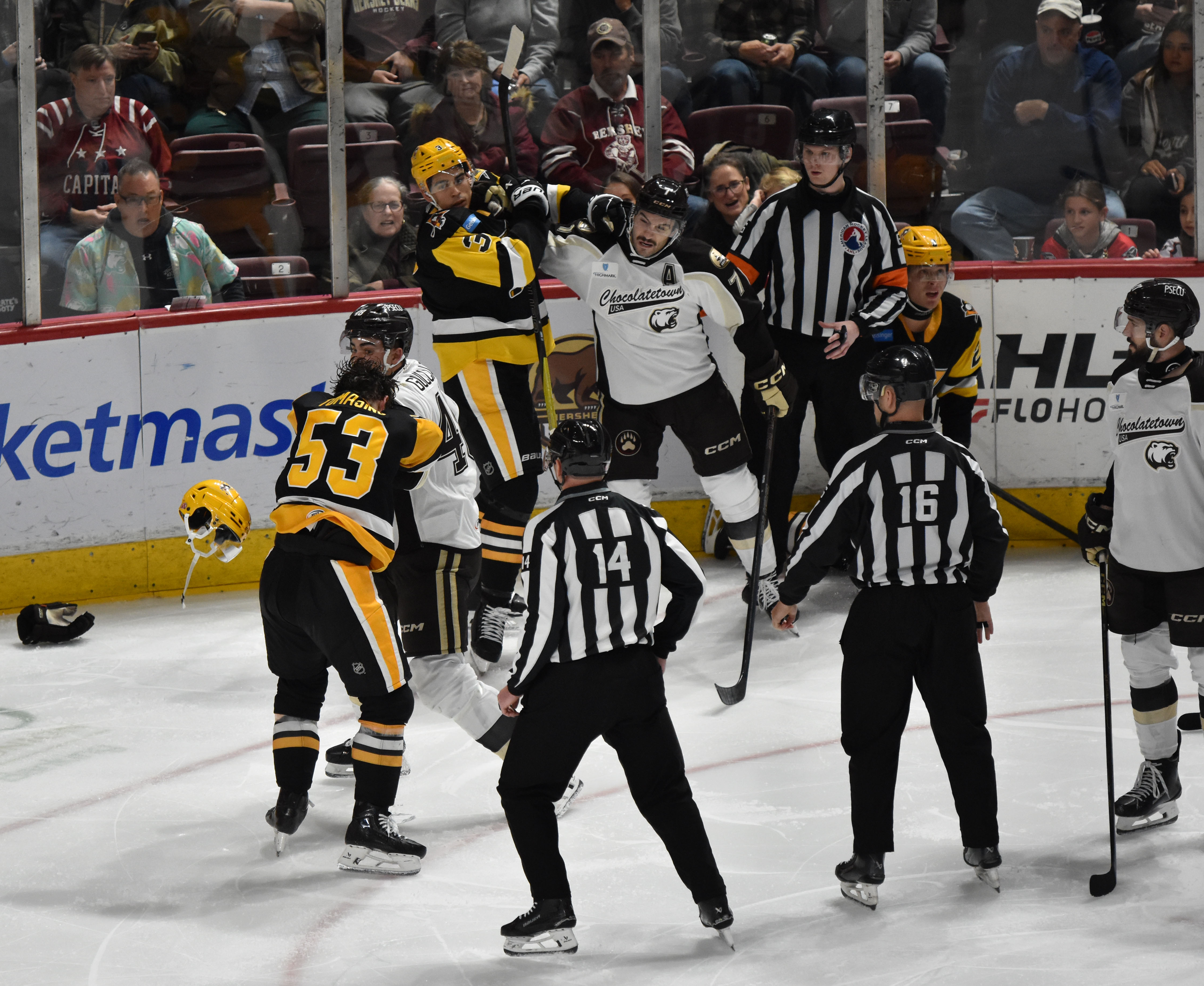 Bears Open Homestand with 6-3 Loss to Penguins