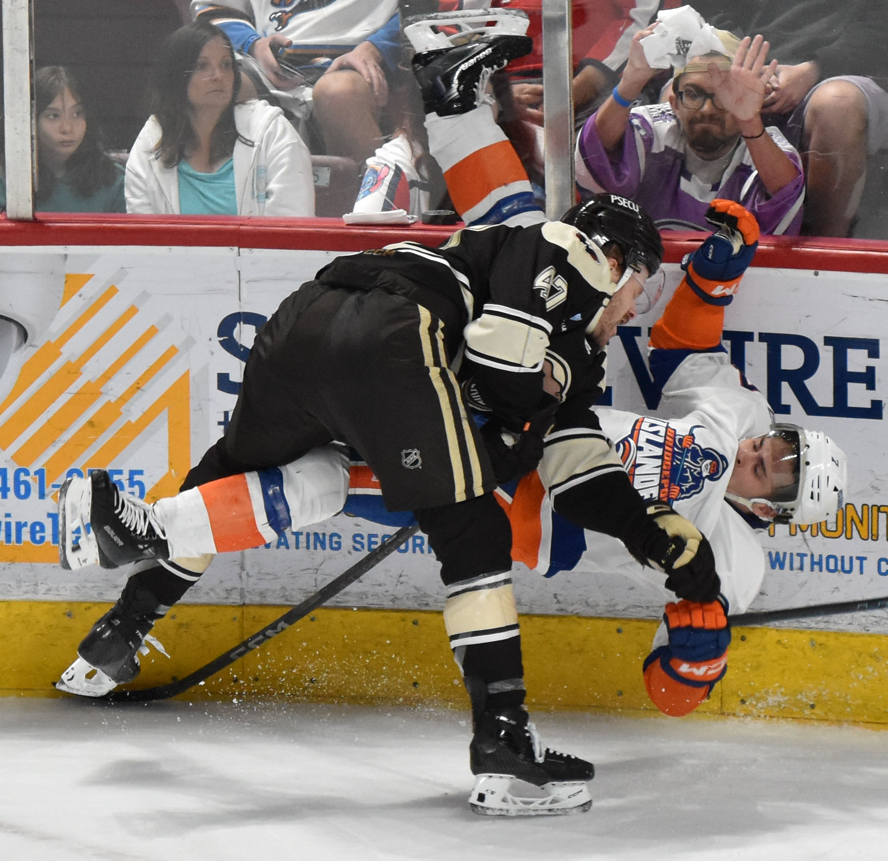 Bears sweep Islanders away | Pro Hockey News